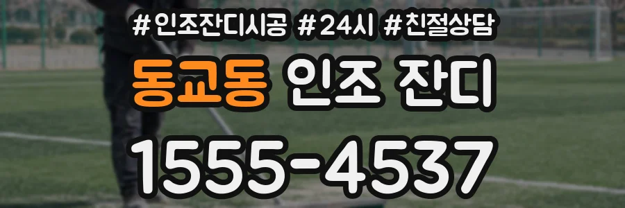 동교동 인조 잔디