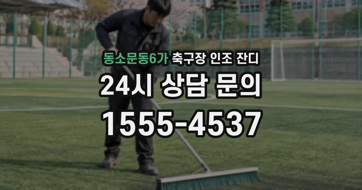 동소문동6가 축구장 인조 잔디