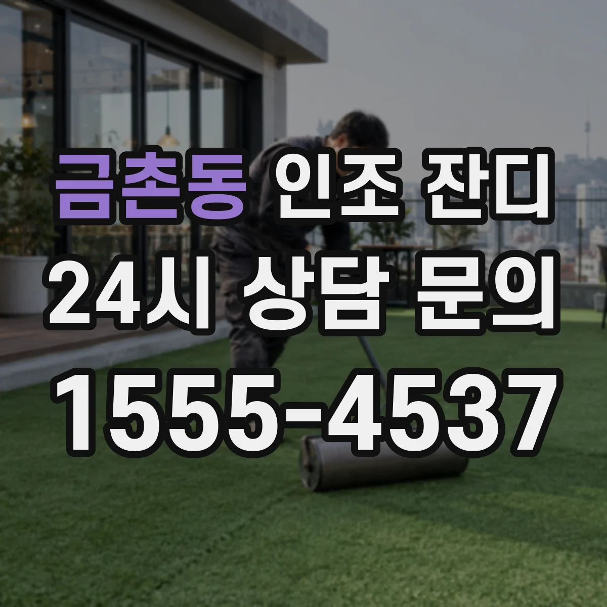 금촌동 인조 잔디