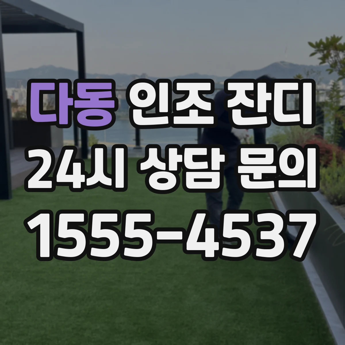 다동 인조 잔디