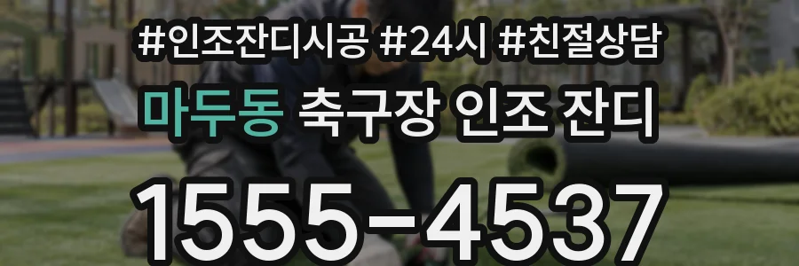 마두동 축구장 인조 잔디