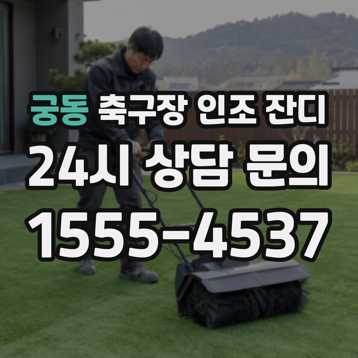 궁동 축구장 인조 잔디