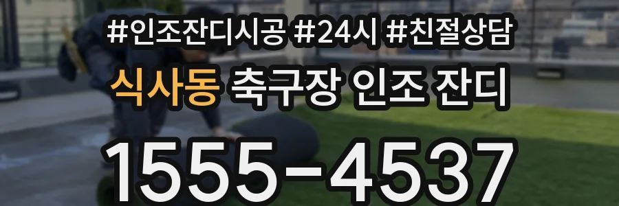 식사동 축구장 인조 잔디