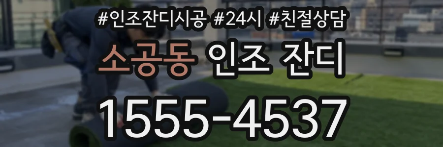 소공동 인조 잔디