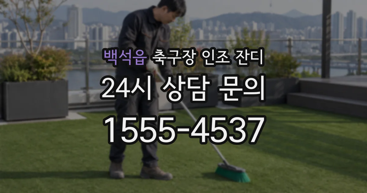 백석읍 축구장 인조 잔디
