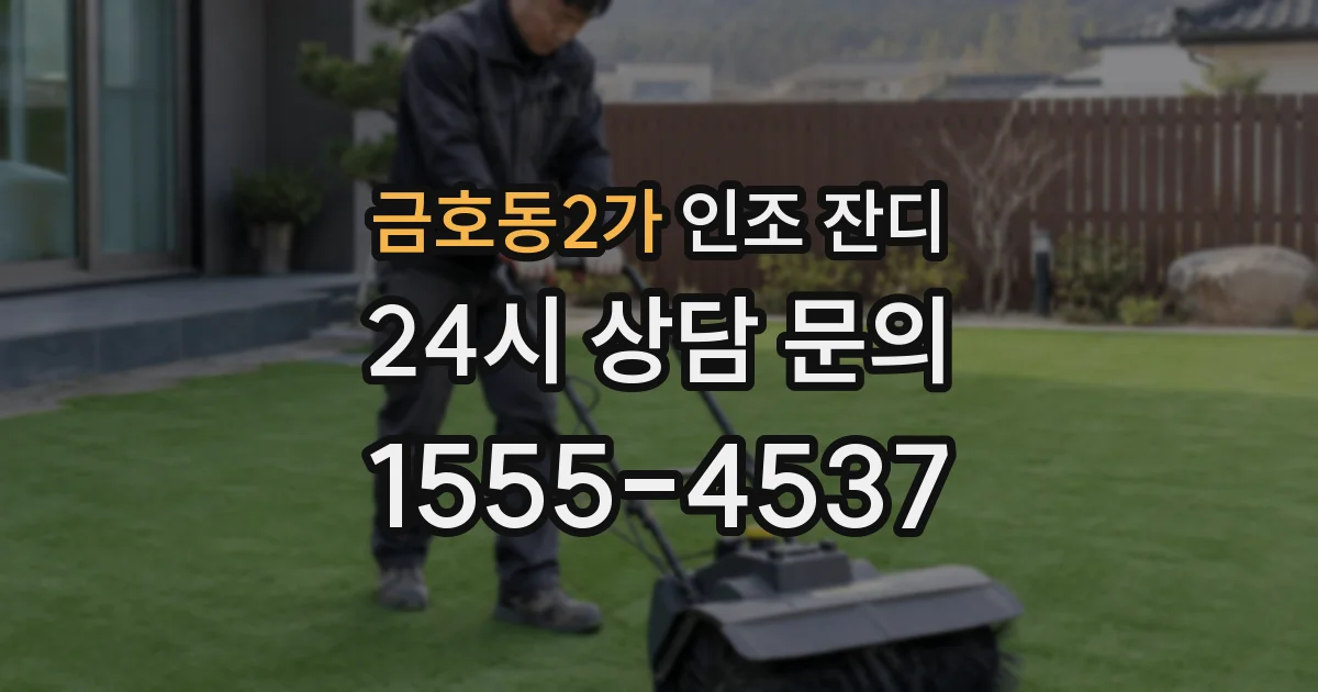 금호동2가 인조 잔디