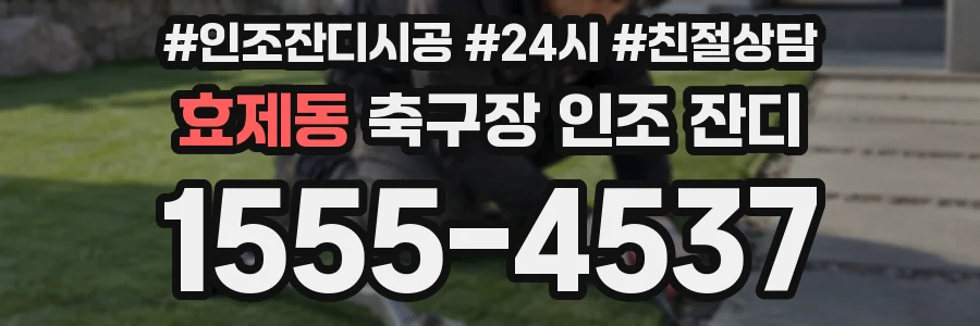 효제동 축구장 인조 잔디