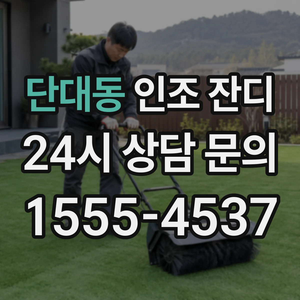 단대동 인조 잔디