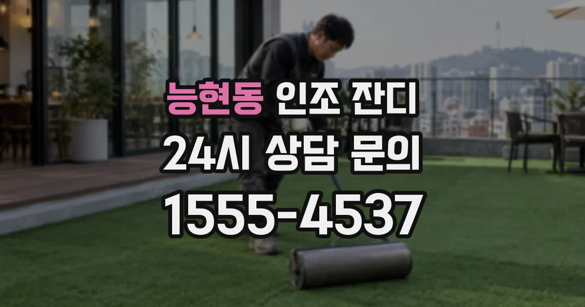 능현동 인조 잔디