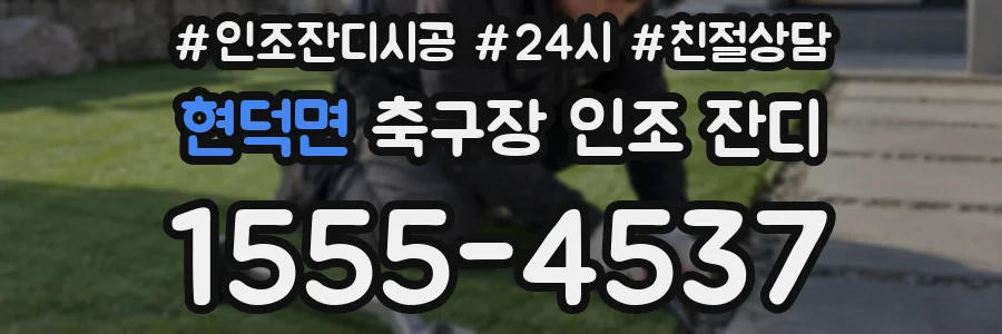 현덕면 축구장 인조 잔디