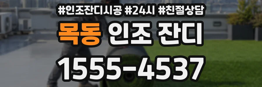 목동 인조 잔디