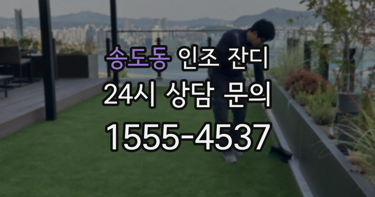 송도동 인조 잔디