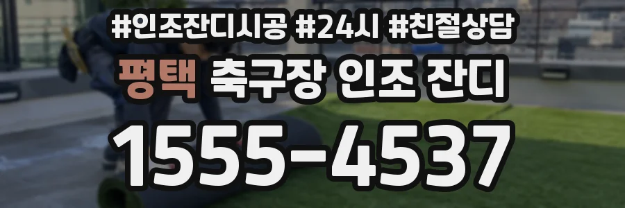 평택 축구장 인조 잔디