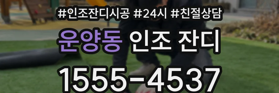운양동 인조 잔디