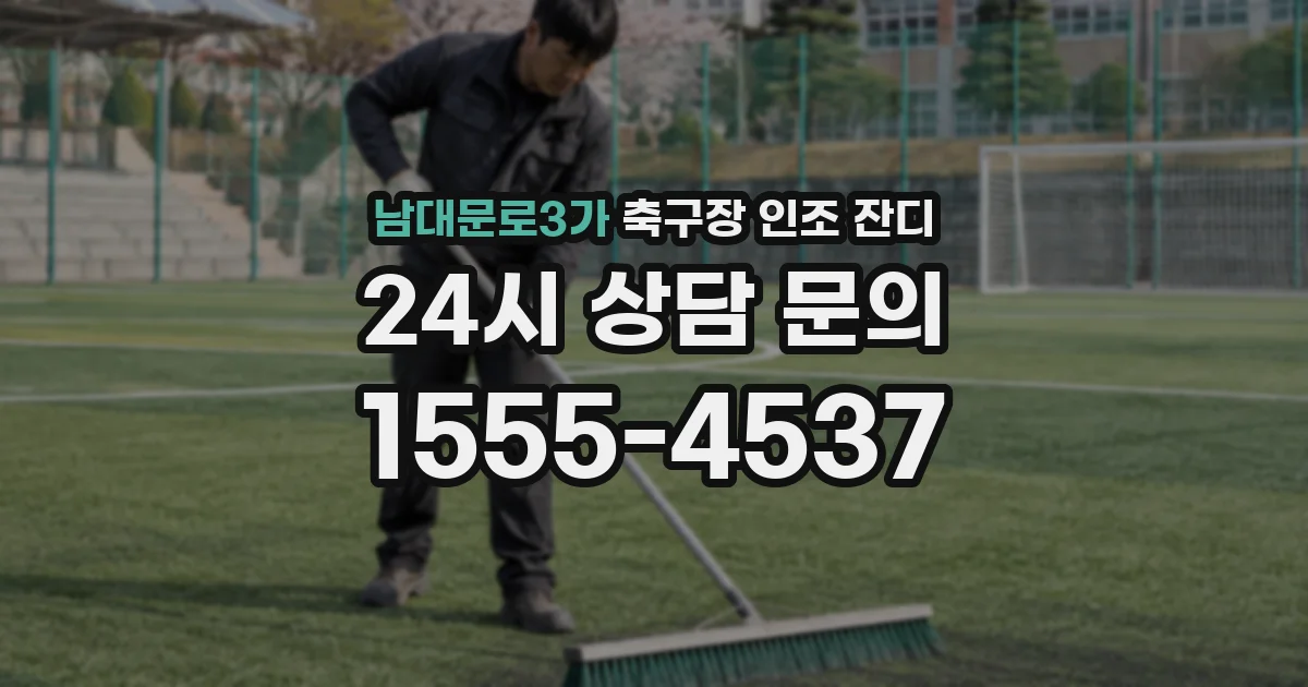남대문로3가 축구장 인조 잔디