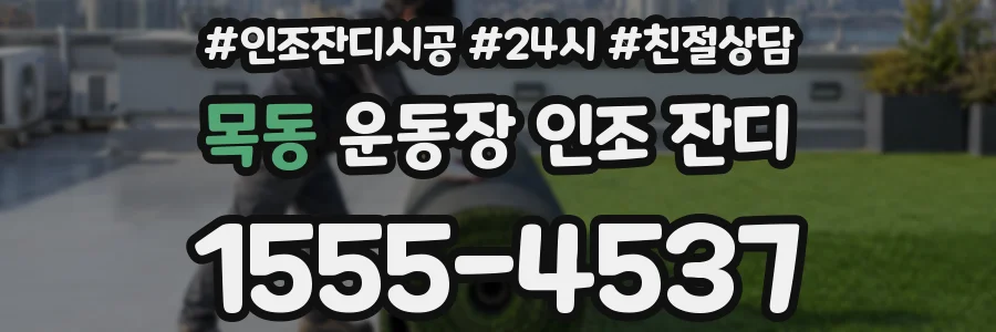 목동 운동장 인조 잔디