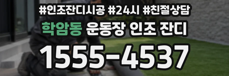 학암동 운동장 인조 잔디