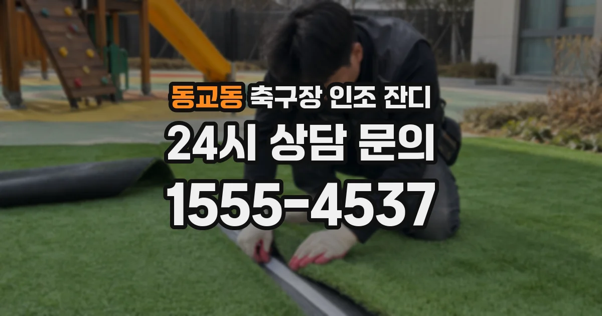 동교동 축구장 인조 잔디