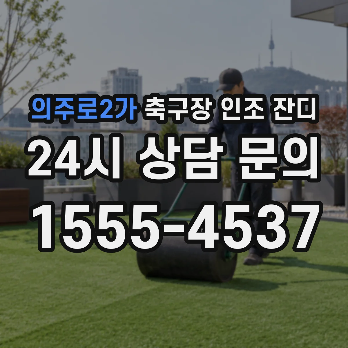 의주로2가 축구장 인조 잔디