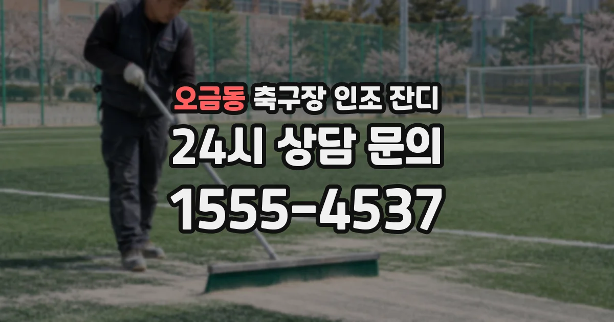 오금동 축구장 인조 잔디