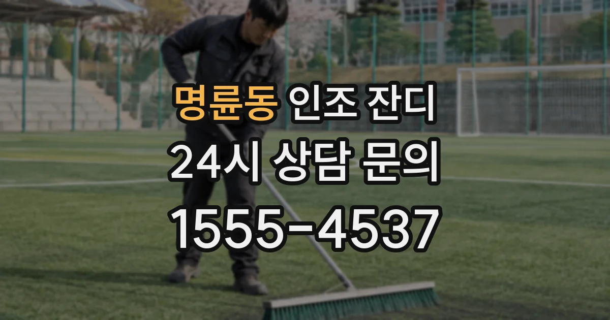 명륜동 인조 잔디