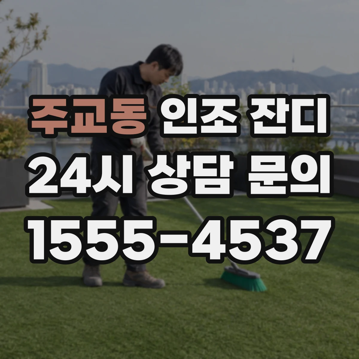 주교동 인조 잔디