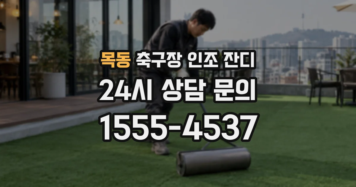 목동 축구장 인조 잔디