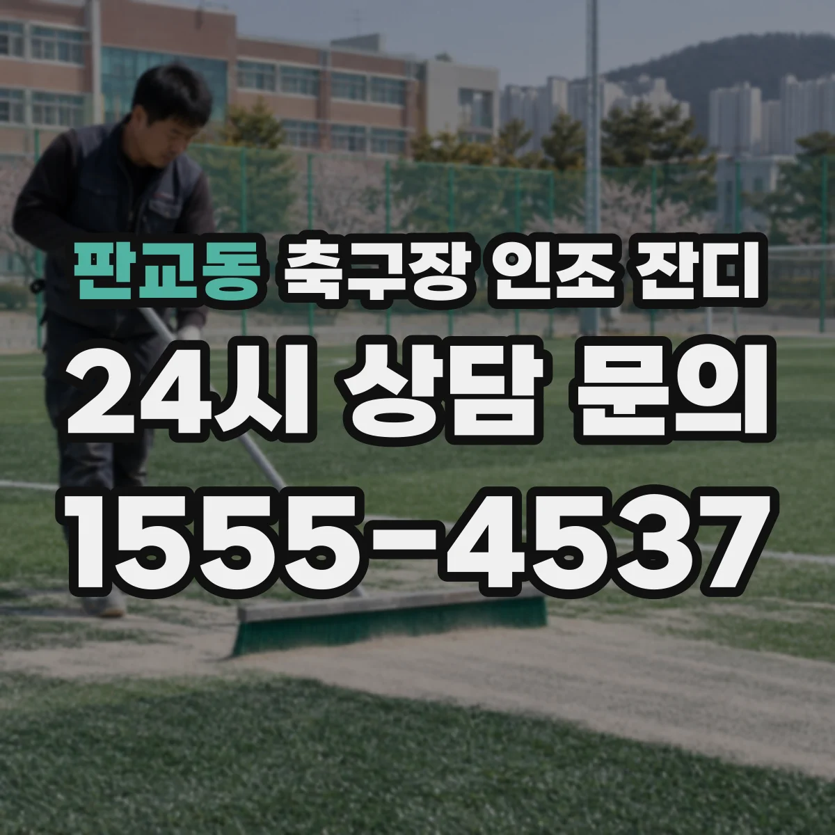 판교동 축구장 인조 잔디