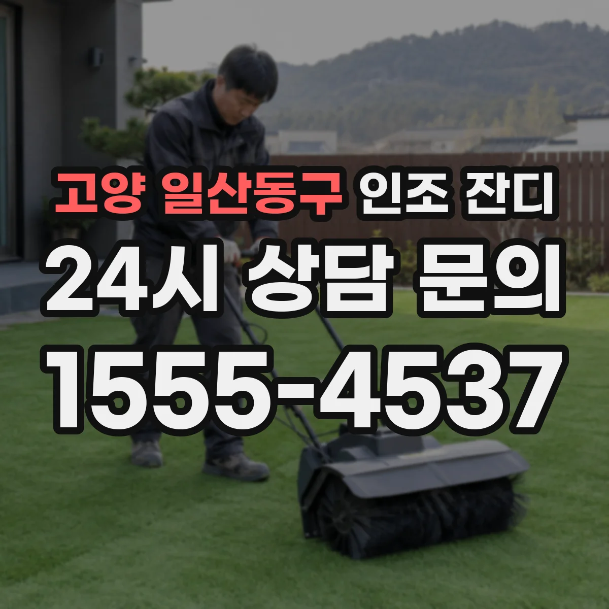 고양 일산동구 인조 잔디
