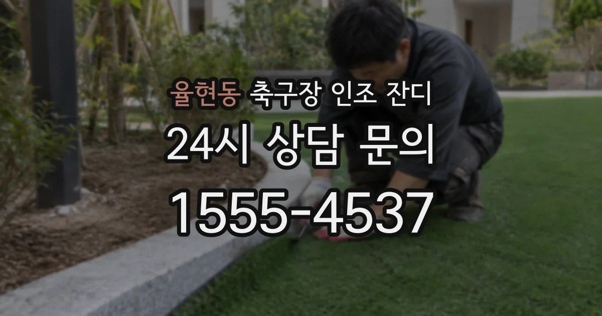 율현동 축구장 인조 잔디