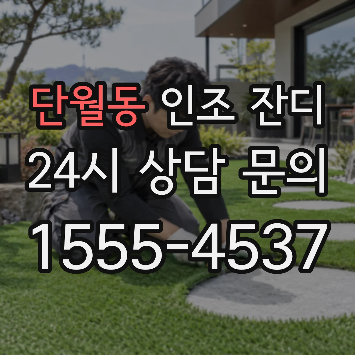 단월동 인조 잔디