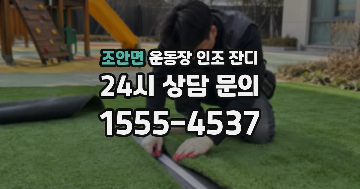 조안면 운동장 인조 잔디
