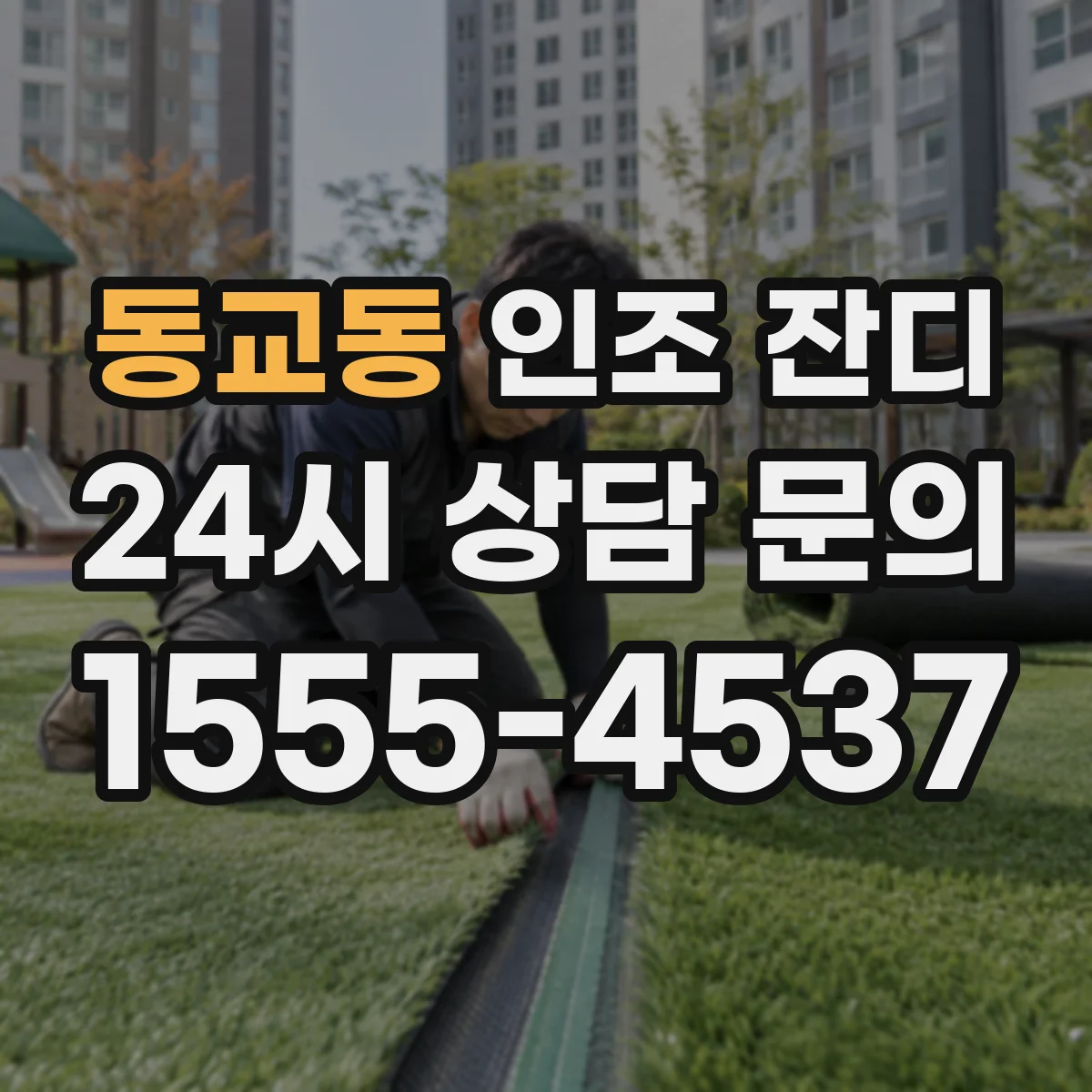 동교동 인조 잔디