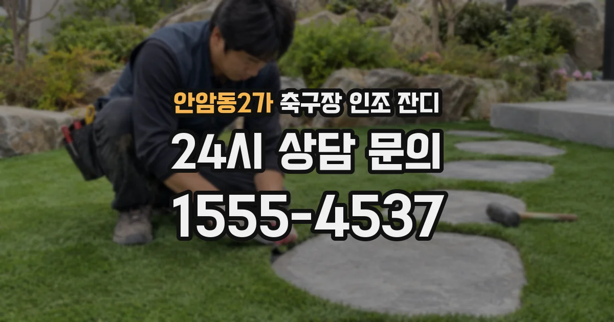 안암동2가 축구장 인조 잔디