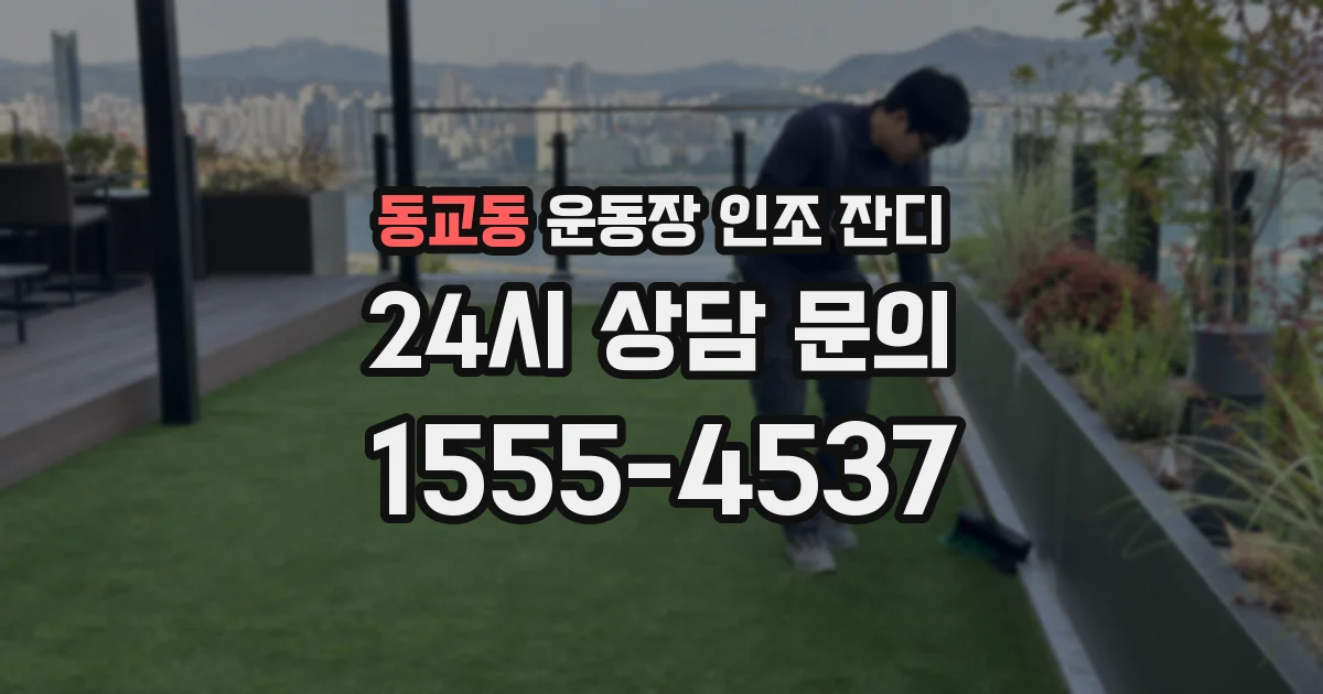 동교동 운동장 인조 잔디