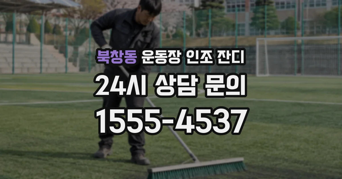 북창동 운동장 인조 잔디