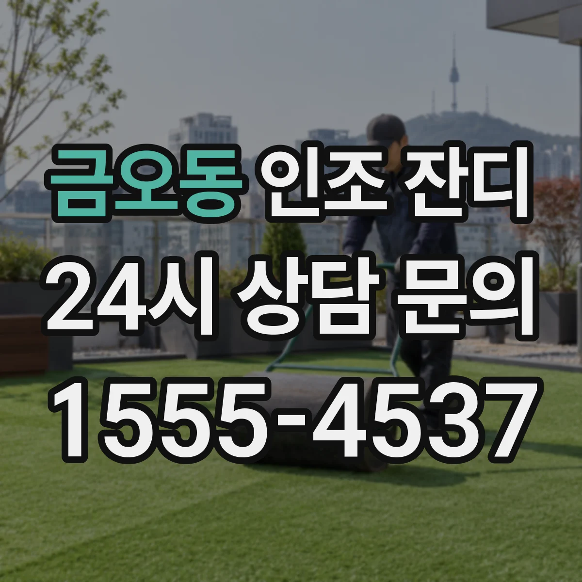 금오동 인조 잔디