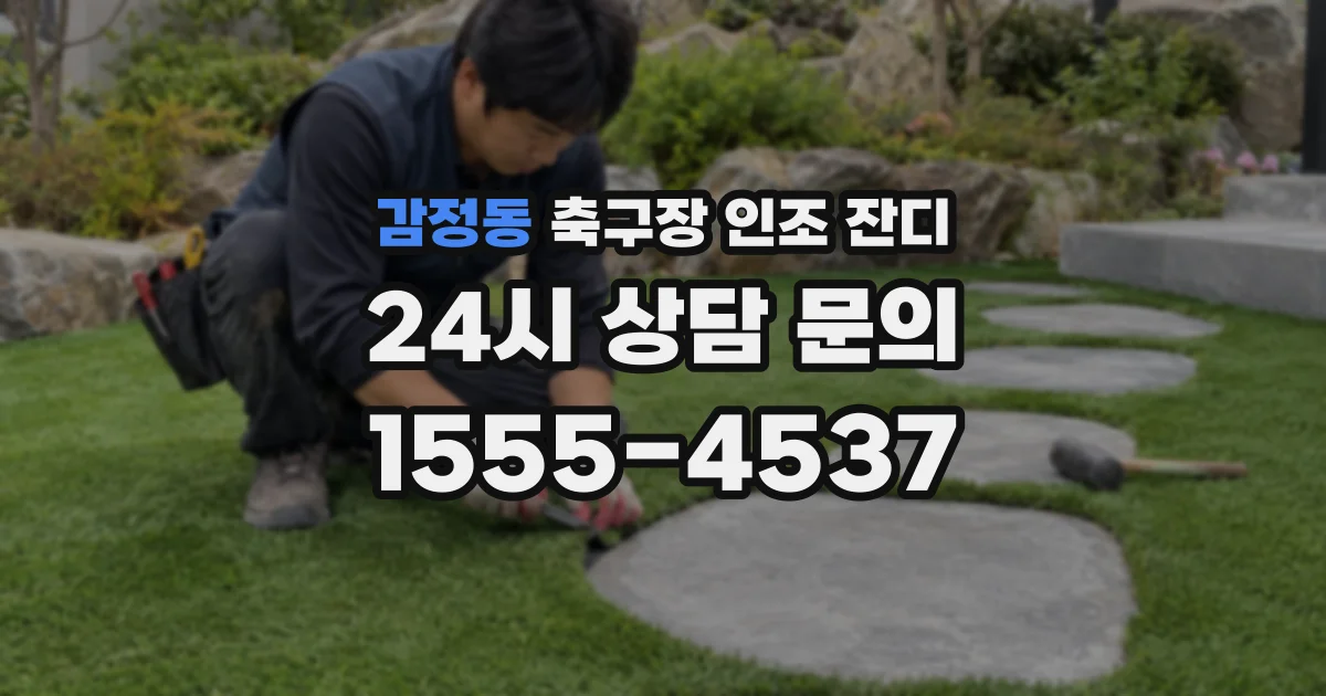 감정동 축구장 인조 잔디