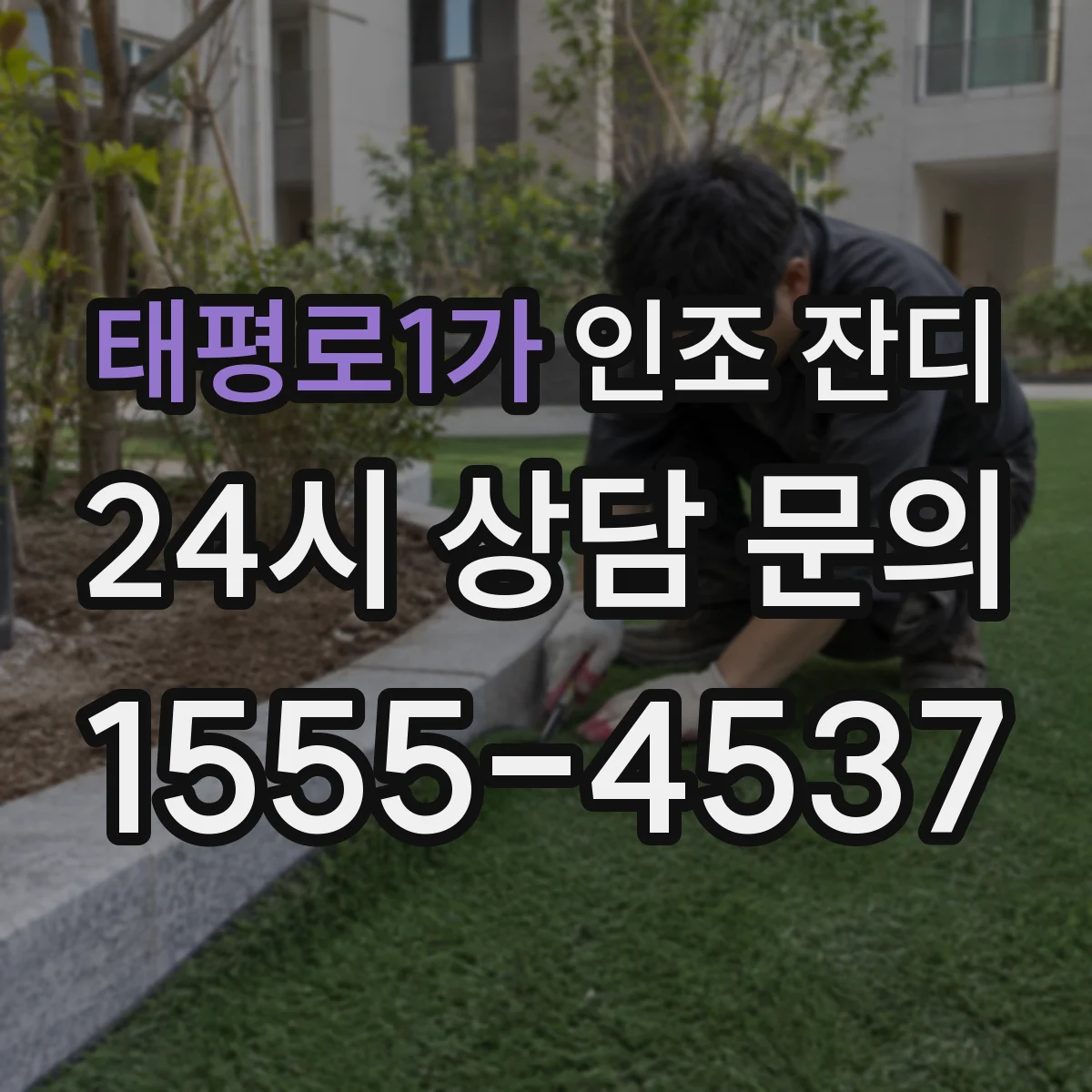 태평로1가 인조 잔디