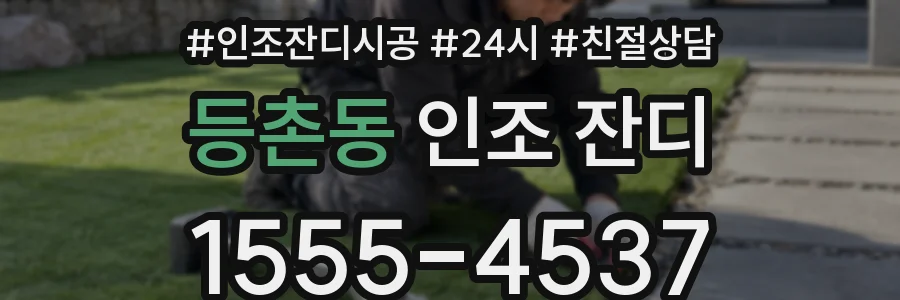 등촌동 인조 잔디