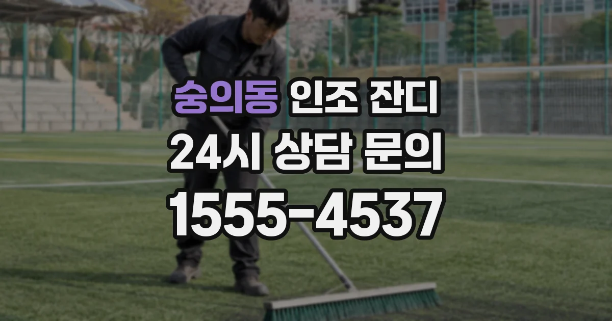 숭의동 인조 잔디