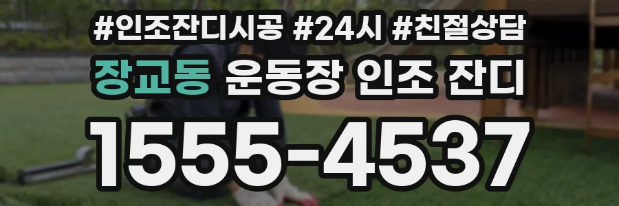 장교동 운동장 인조 잔디
