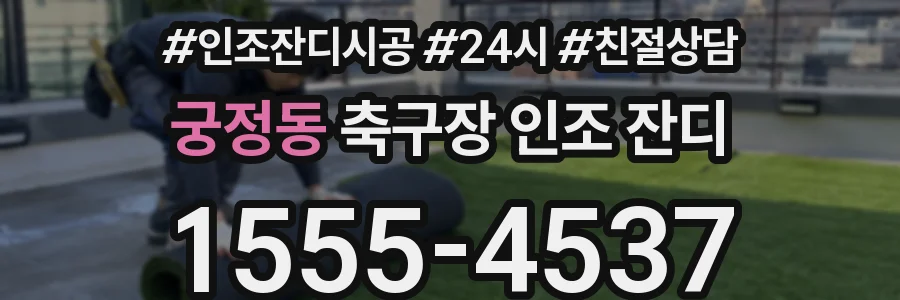 궁정동 축구장 인조 잔디