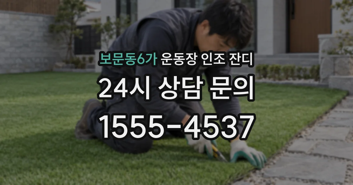 보문동6가 운동장 인조 잔디