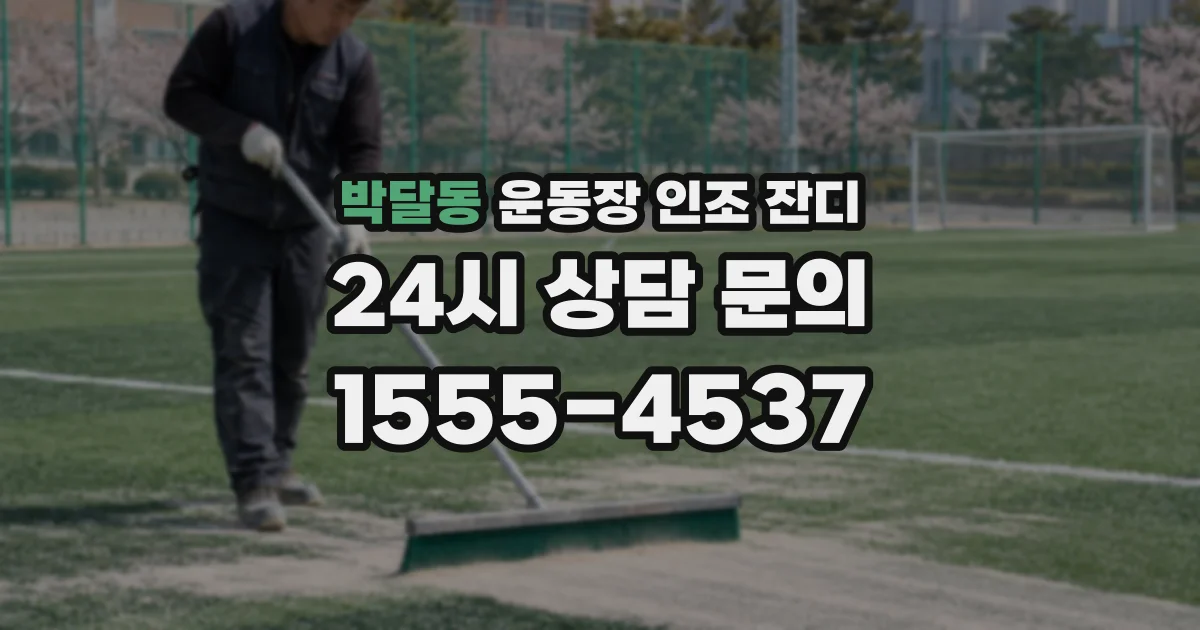 박달동 운동장 인조 잔디