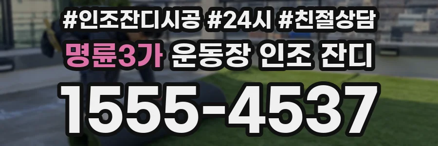 명륜3가 운동장 인조 잔디