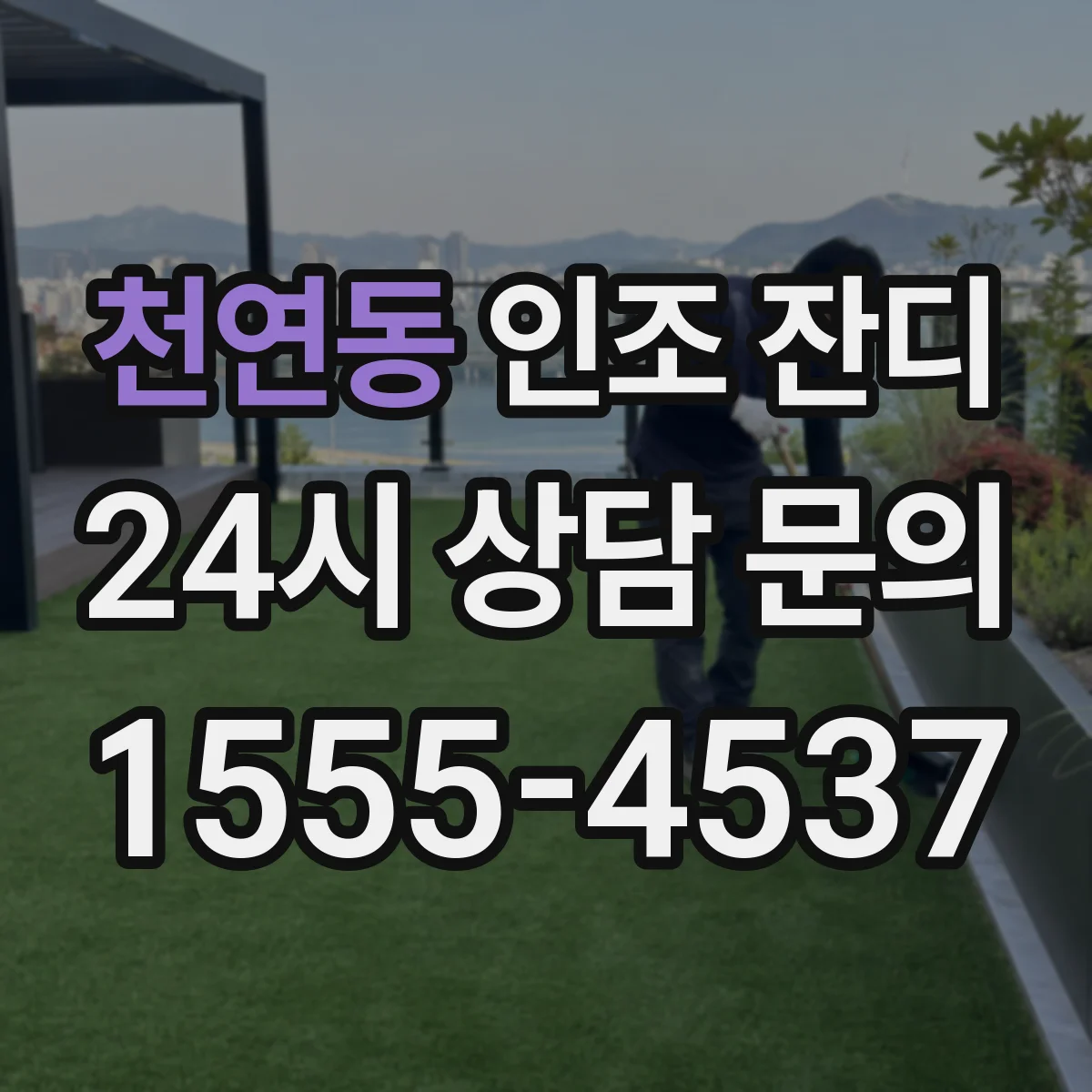 천연동 인조 잔디
