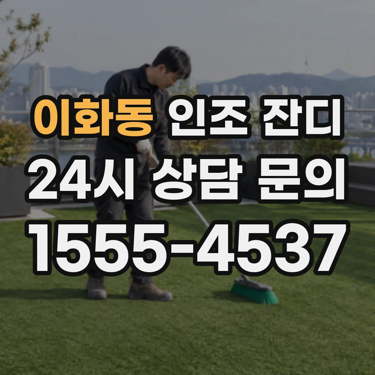 이화동 인조 잔디