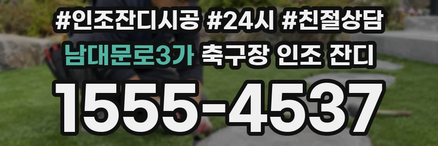 남대문로3가 축구장 인조 잔디