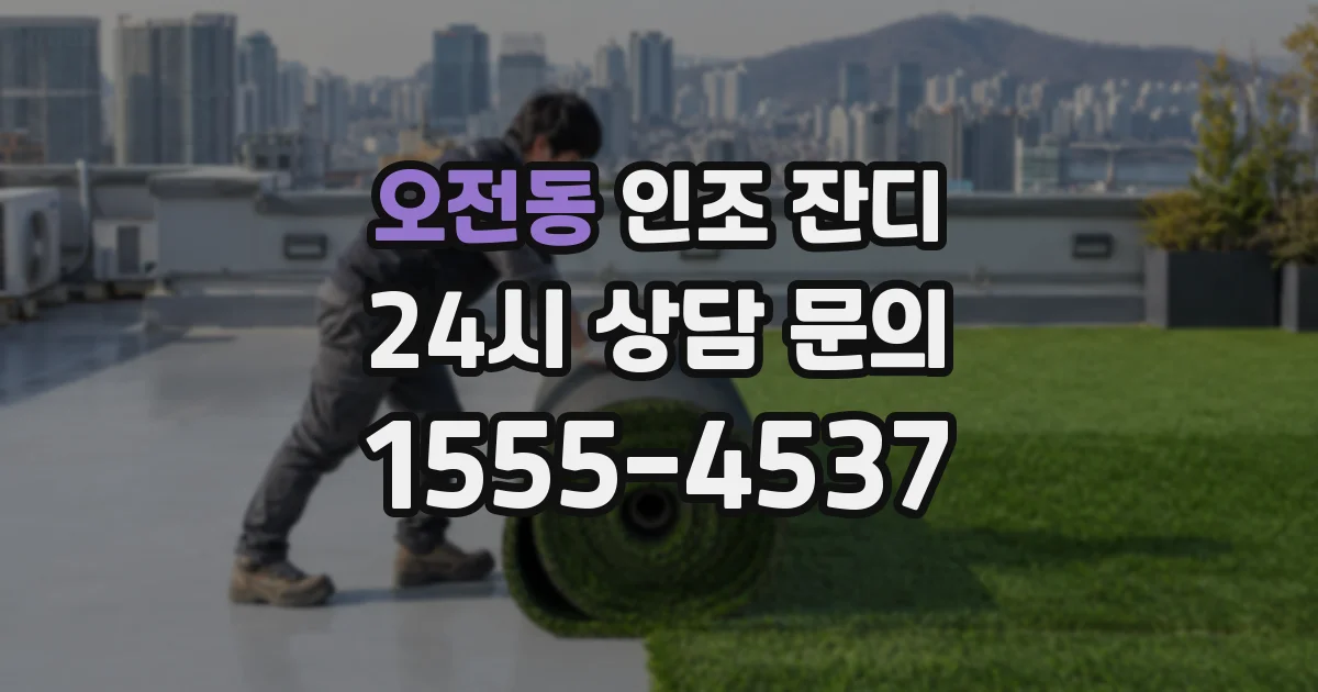 오전동 인조 잔디